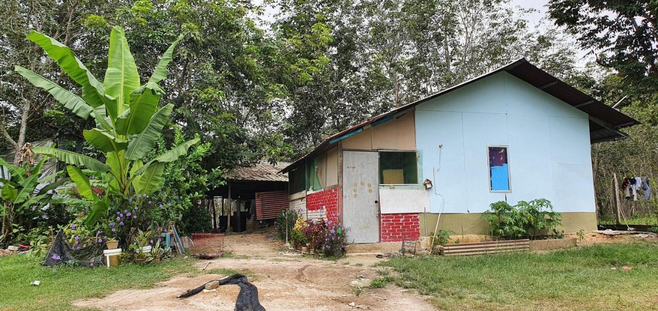 קואלה קנגסאר Chalet Kampong Semawar מראה חיצוני תמונה