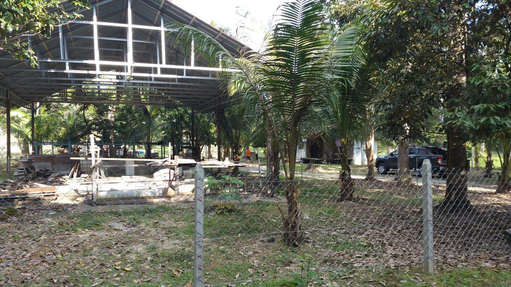 קואלה קנגסאר Chalet Kampong Semawar מראה חיצוני תמונה