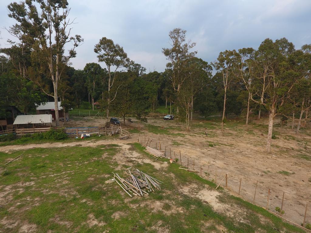 קואלה קנגסאר Chalet Kampong Semawar מראה חיצוני תמונה