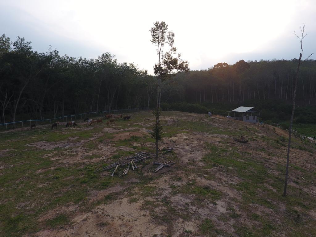 קואלה קנגסאר Chalet Kampong Semawar מראה חיצוני תמונה