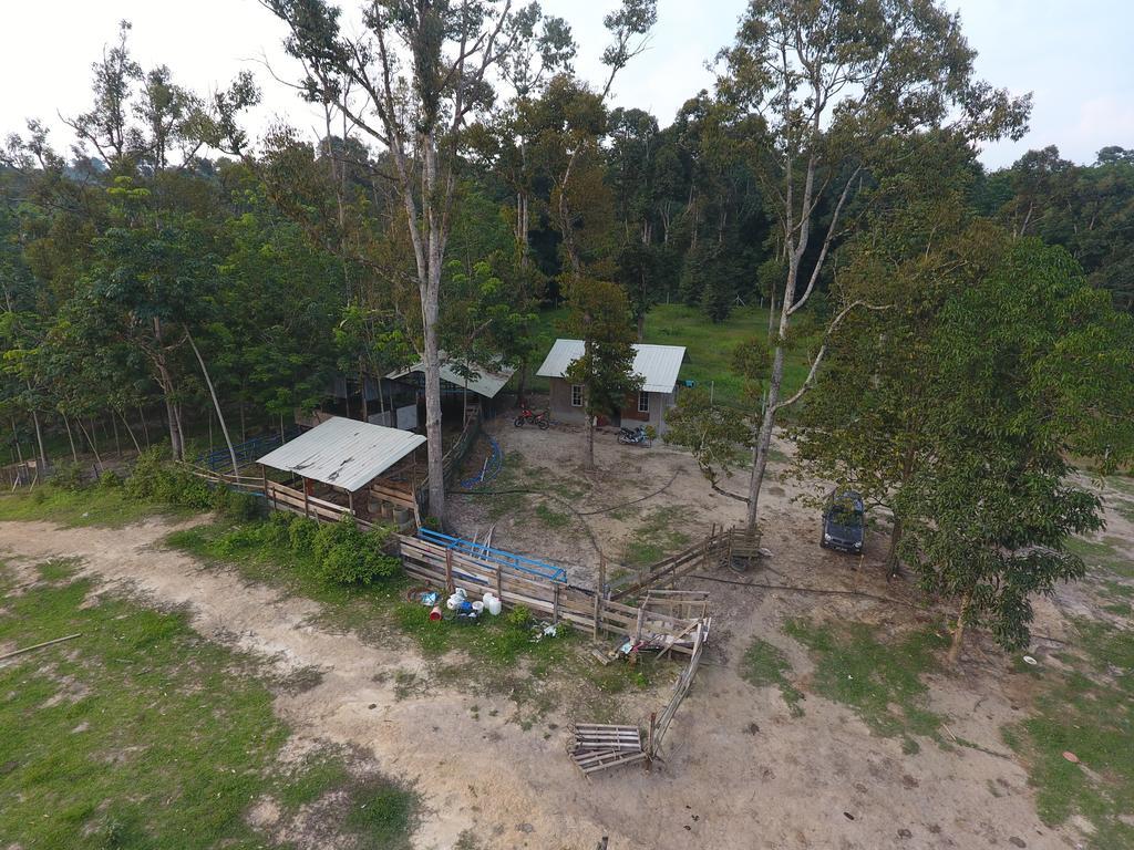 קואלה קנגסאר Chalet Kampong Semawar מראה חיצוני תמונה